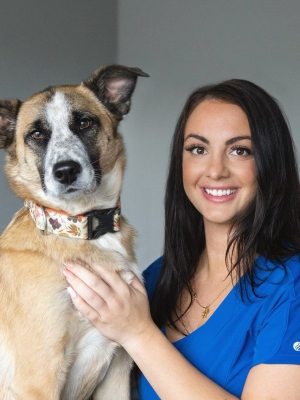 coming soon placeholder